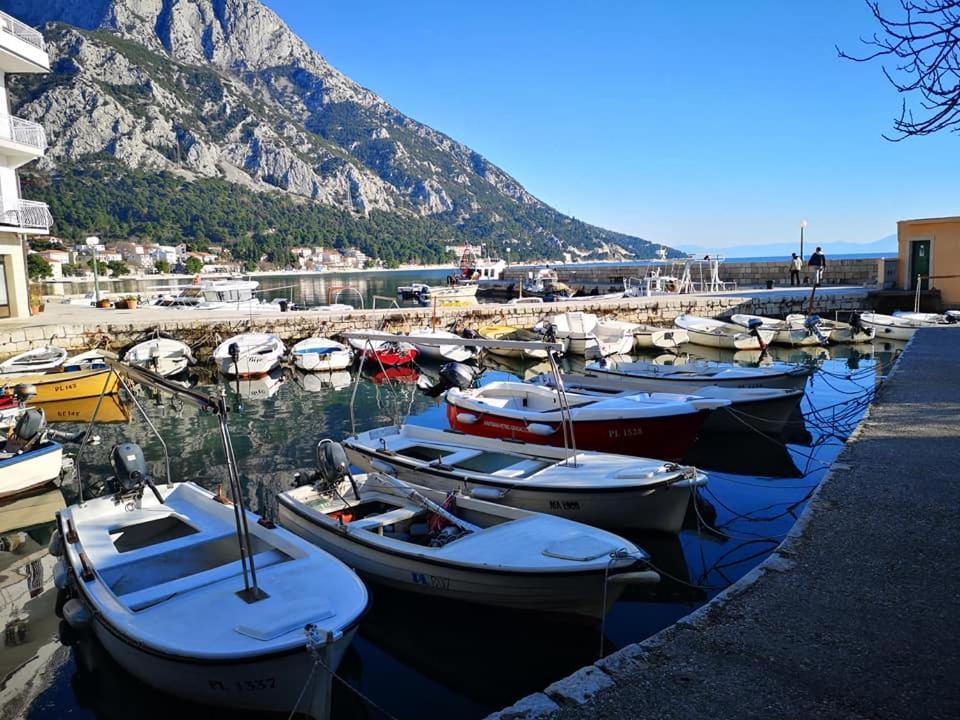 Apartment Ana - Gradac Gradac  Exteriér fotografie